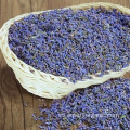 Té de flores secas de lavanda natural orgánica